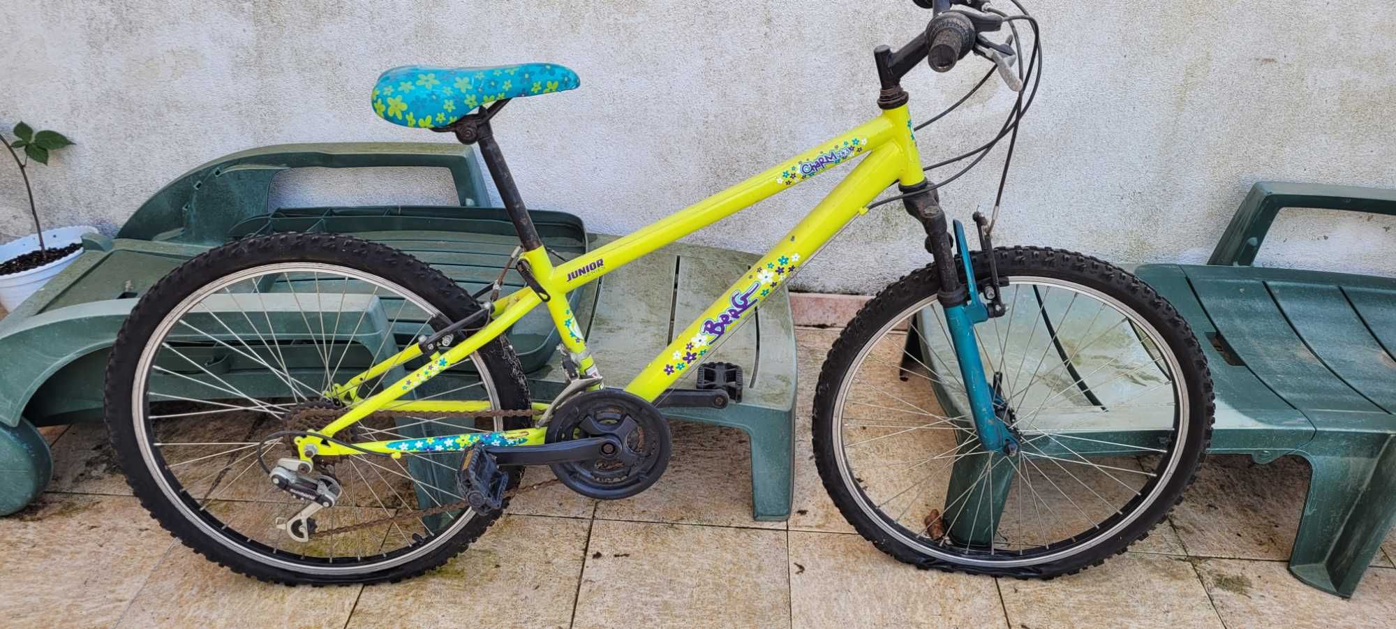 Bicicleta roda 24 Berg