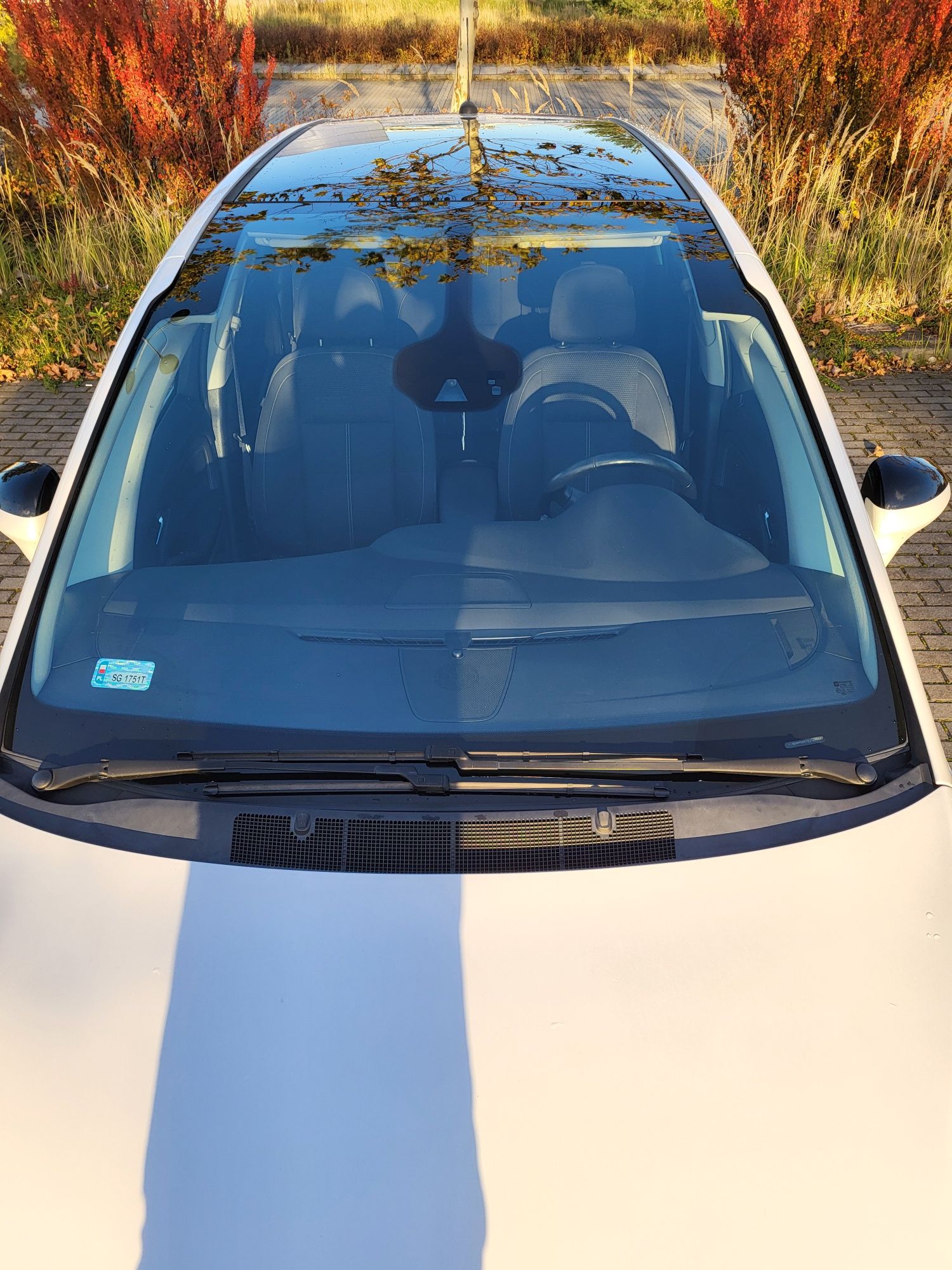 Opel Zafira, webasto, panorama, bagażnik rowerowy, salon Polska