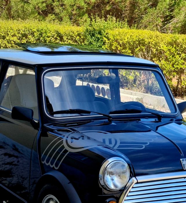 Vendo lindo mini
