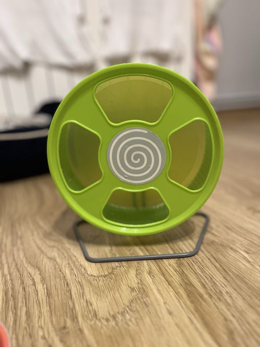 kołowrotek dla gryzonia