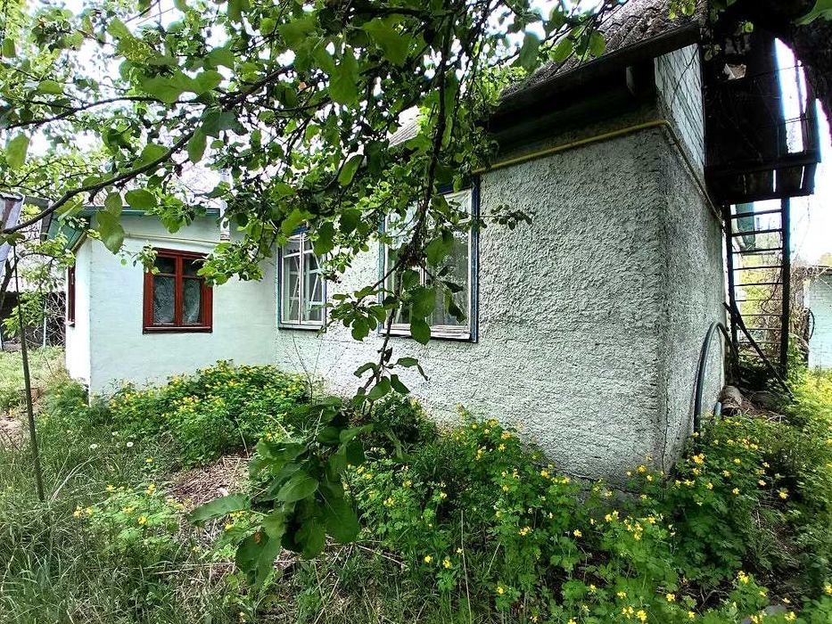 Продам жилий будинок з хозпобудовами та окремою банею в с.Ніжиловичі