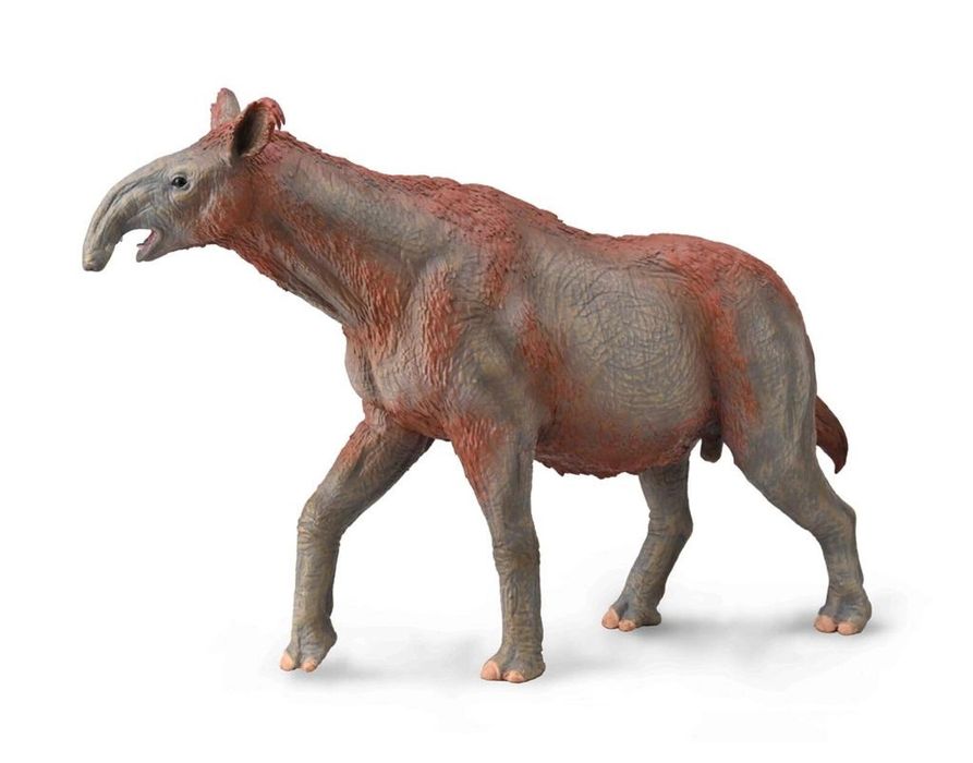Paraceratherium pudełko,168x281 mm