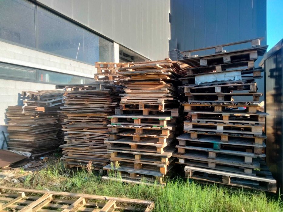 Paletes e madeira para desocupar