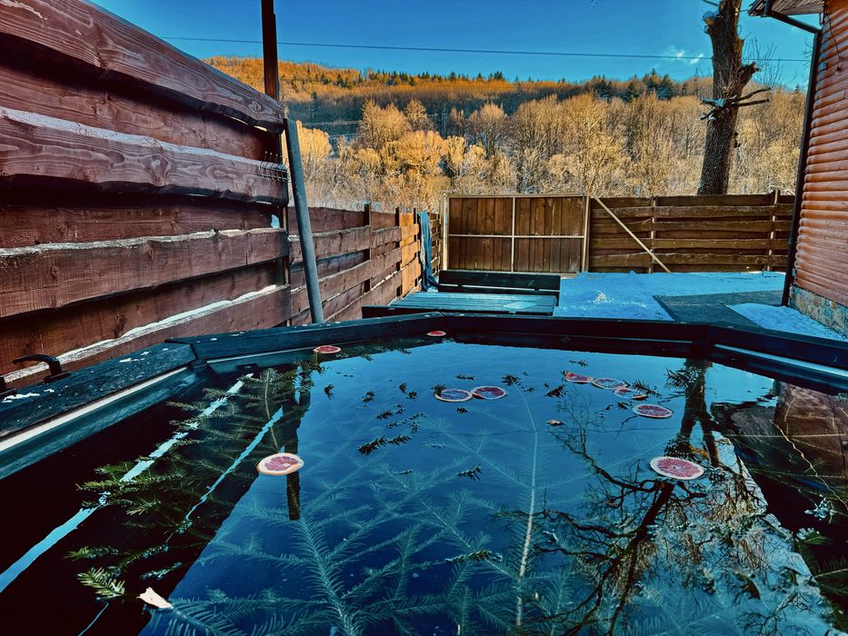 Відпочинок у Карпатах котеджі біля річки та лісу