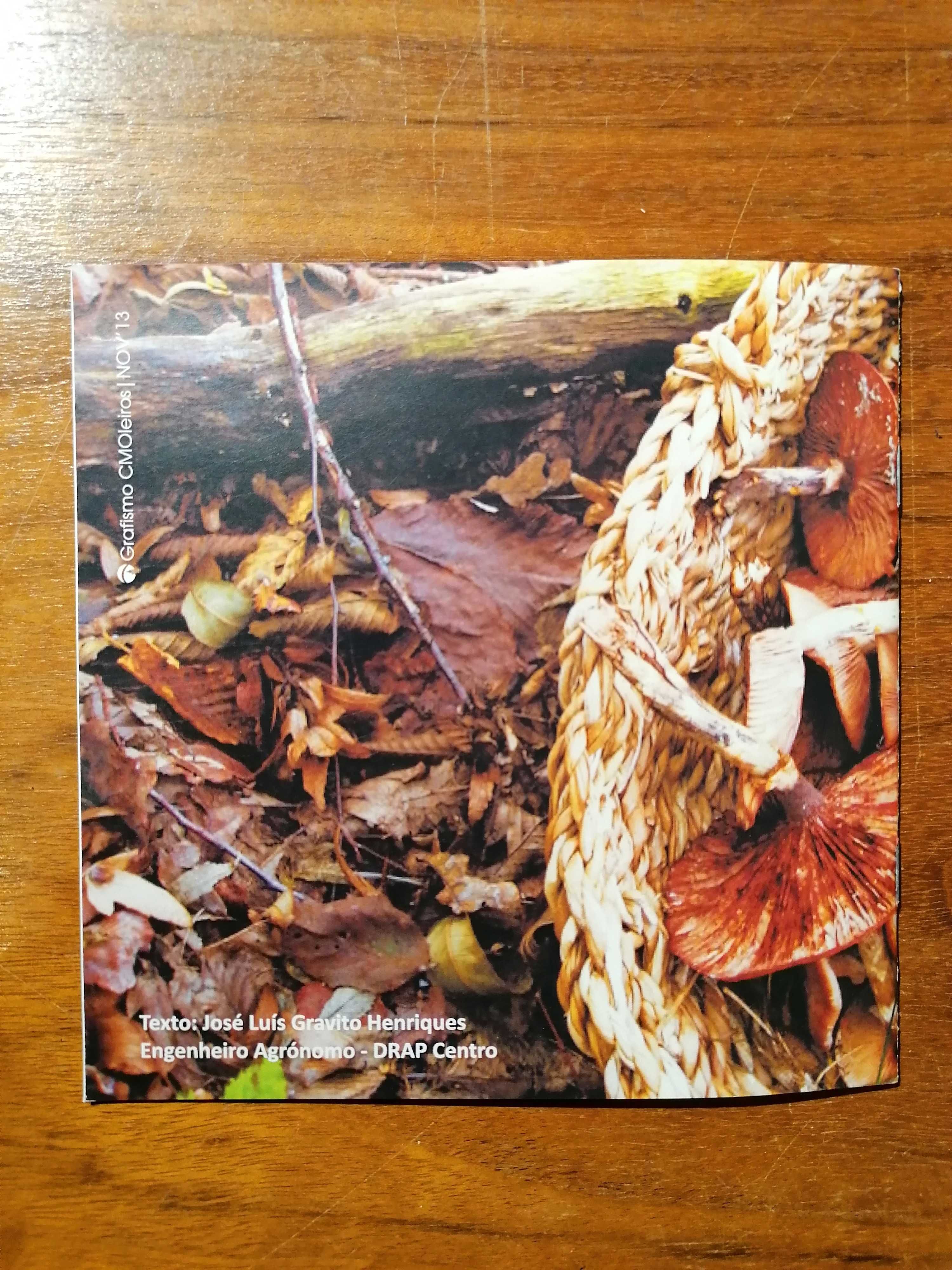Brochura cogumelos silvestres