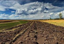 У продажу землі сільськогосподарського призначення СГ у Волинській обл