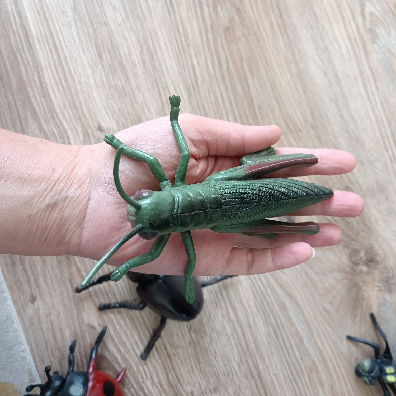 4 duże figurki owadów