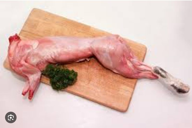Продам мясо  нутрій і кролів