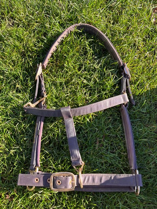 Kantar dla konia Eskadron