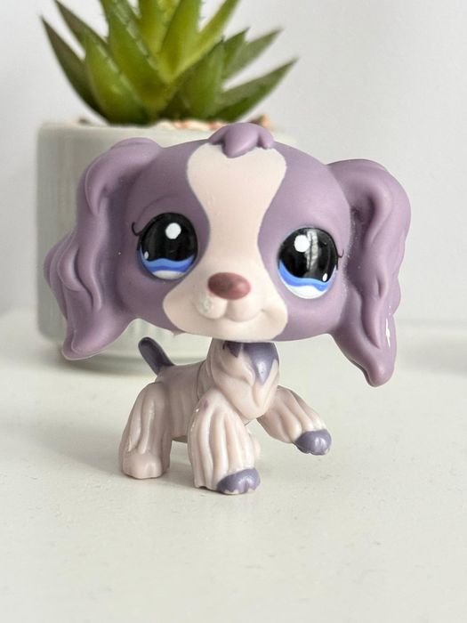 Lps spaniel littlest pet shop pop