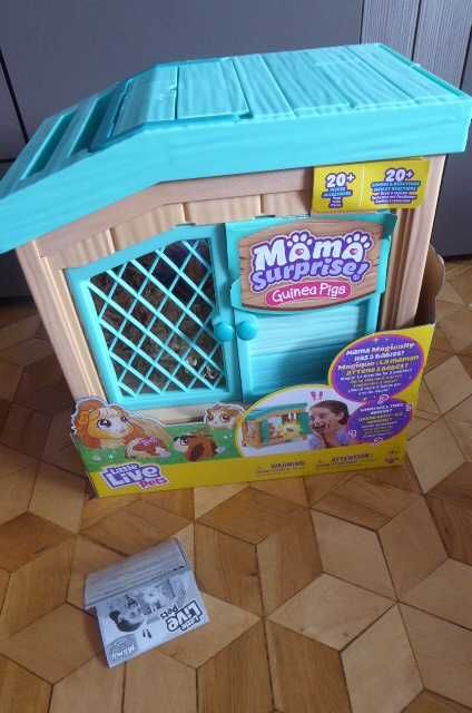 świnka morska mama surprise. little live pets