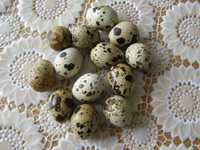Перепела и инкубационные яйца перепелов