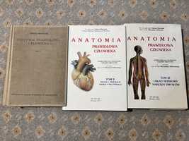 Marciniak Anatomia - 3 tomy