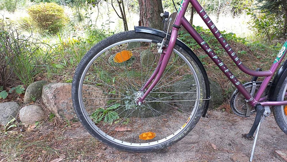 Rower Miejski Damski Express Hirty Eight 3 biegi Torpedo Damka 28