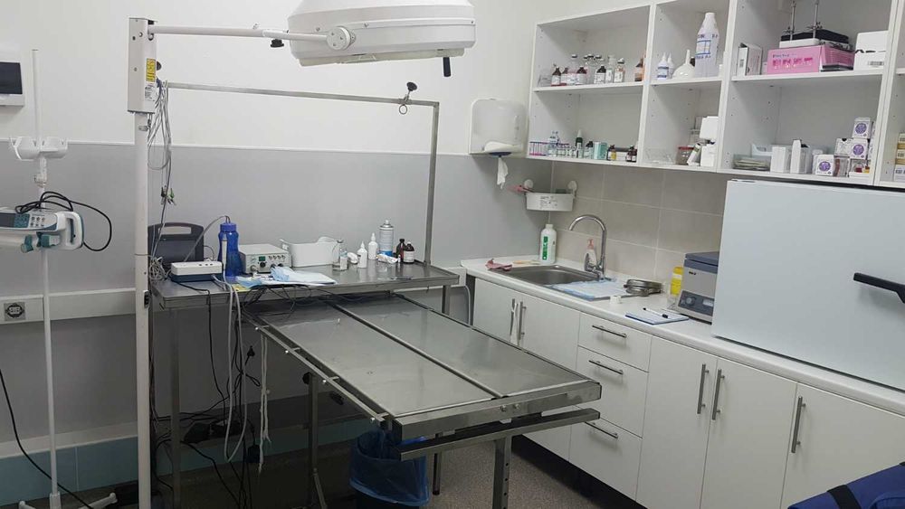 Продам помещение под ветклинику 550кв м ГОРЯЧАЯ ЦЕНА!!!