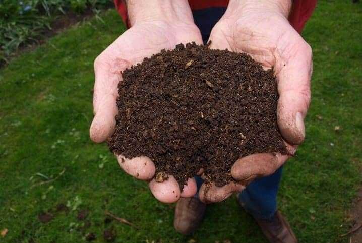 Vende-se terra vegetal para jardim, horta, ervas aromáticas e árvores.
