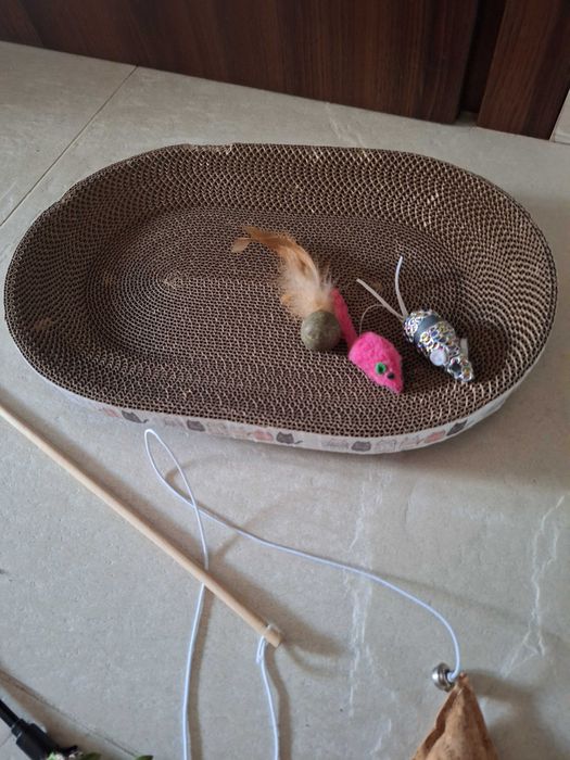 Drapak dla kota i zabawki.