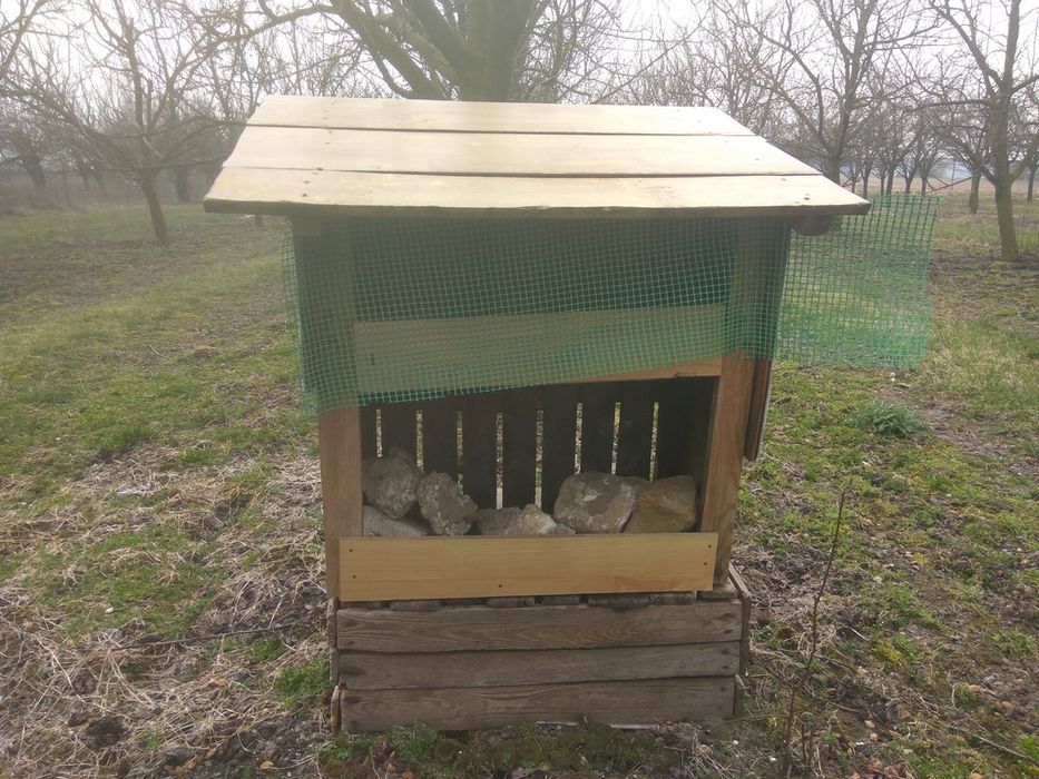 Murarka ogrodowa+ 300 sztuk trzciny+ pudlegowe