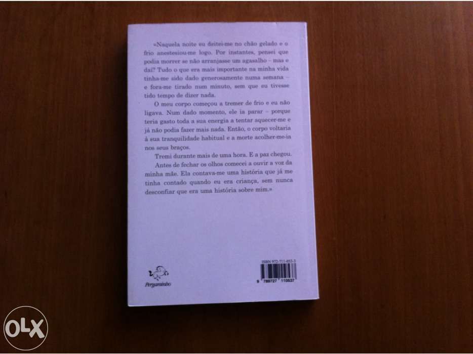 Livro na Margem do Rio Pedra eu sentei e chorei de Paulo Coelho