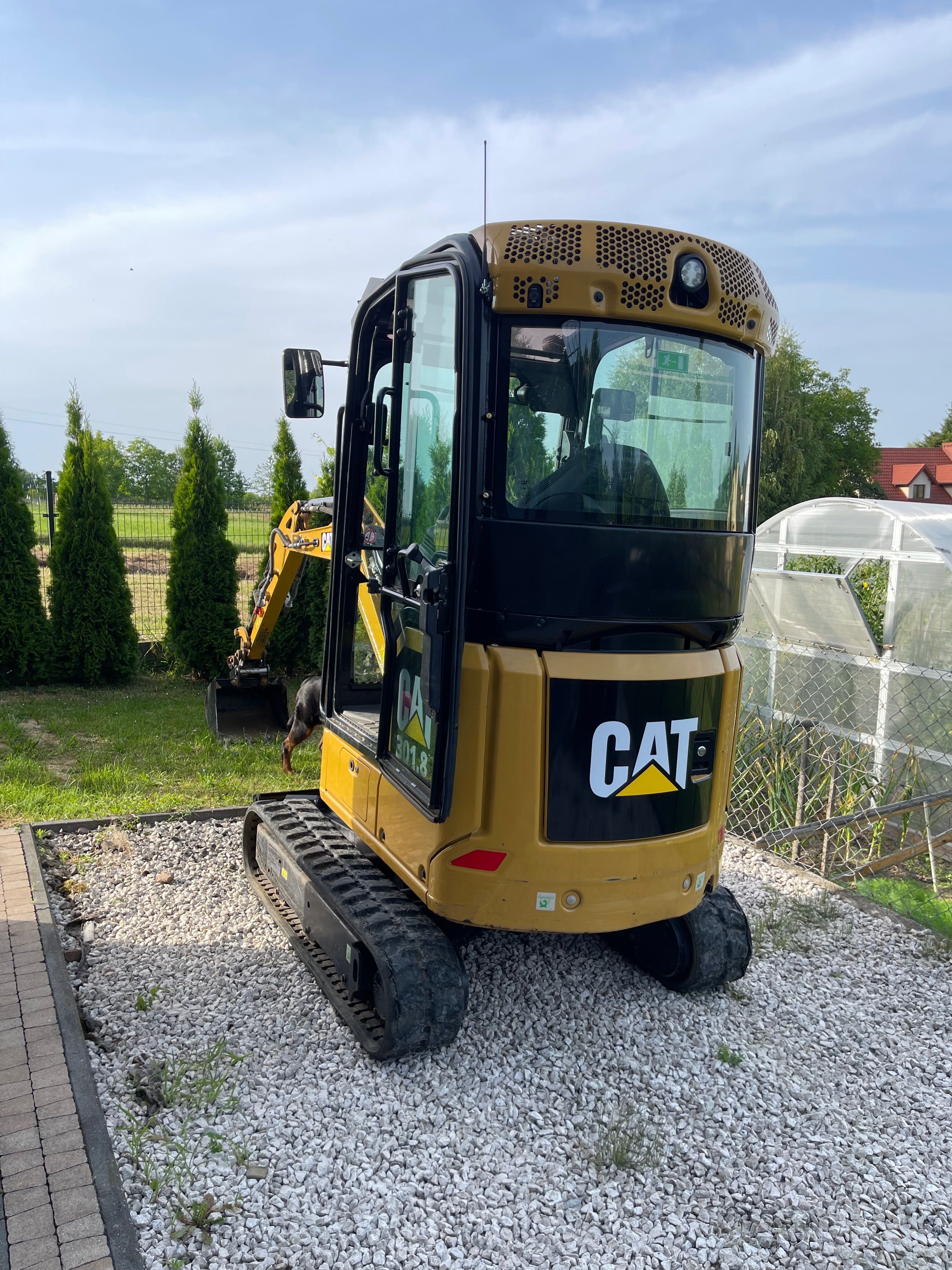 Wynajem minikoparkę Caterpillar
