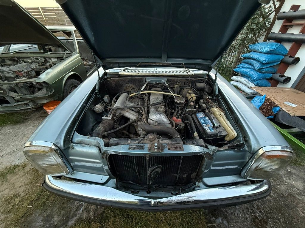 Mercedes w 114 coupe