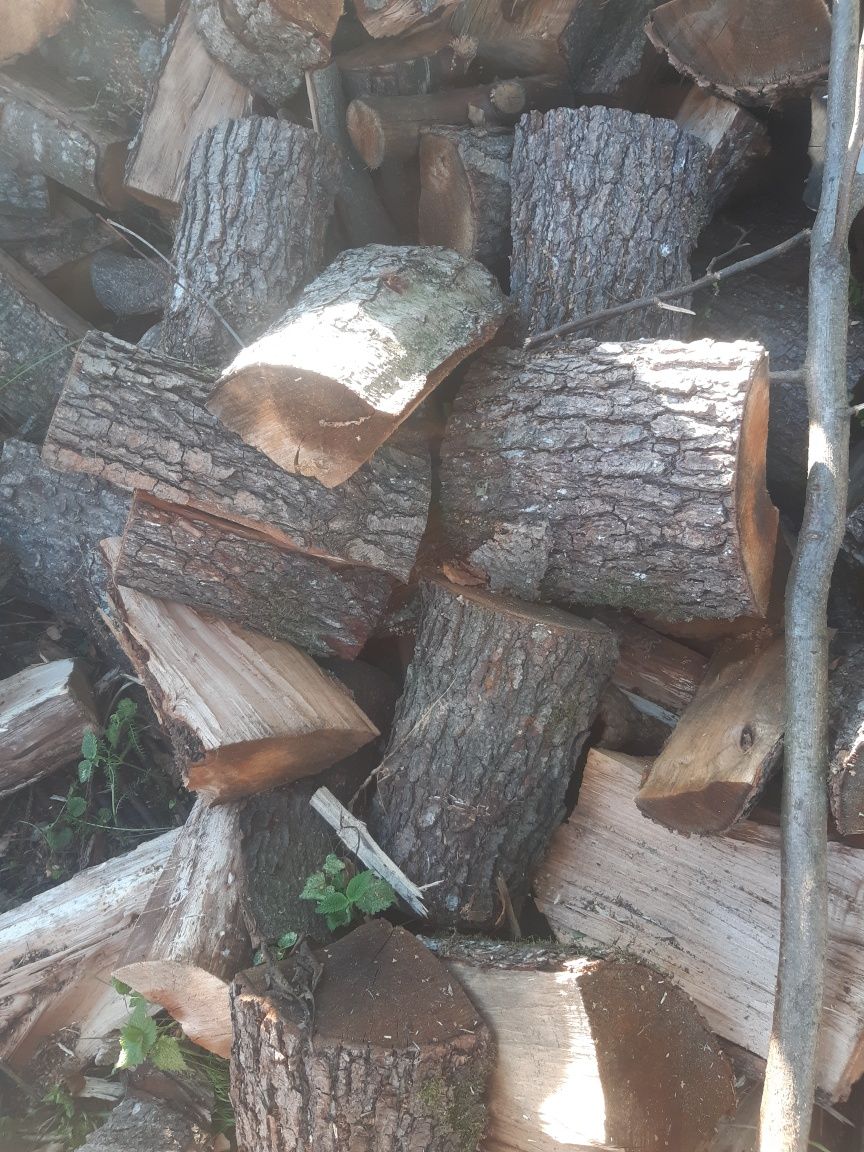 Drewno opałowe sosna