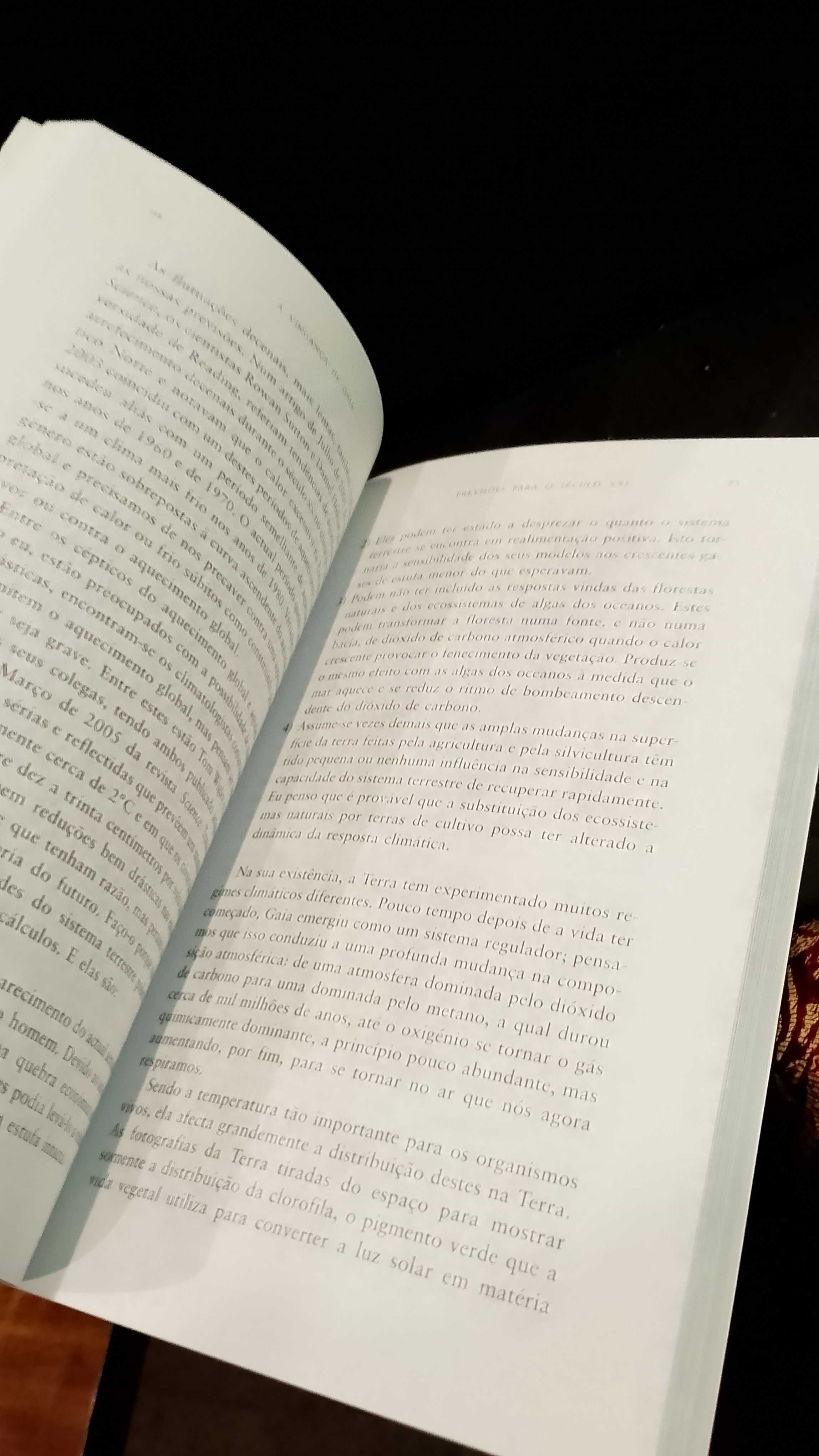 A Vingança de Gaia - James Lovelock (1ª edição)