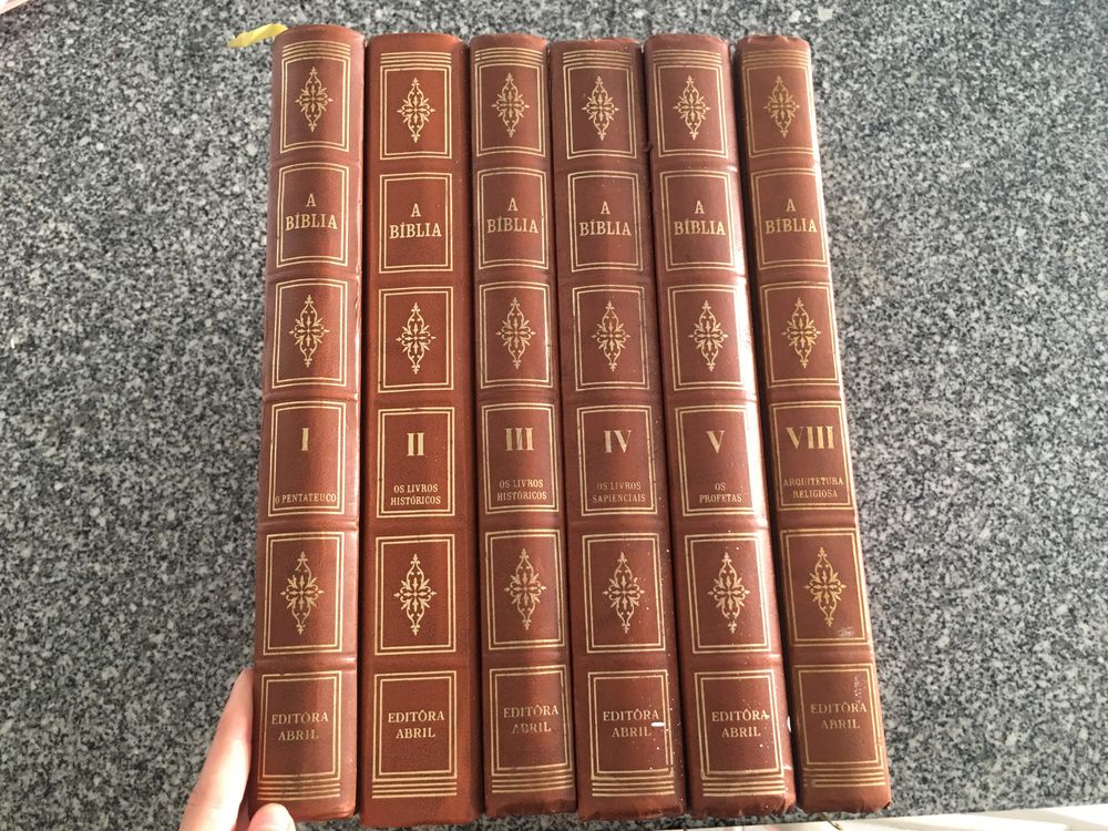 Conjunto Biblías e edições religiosas de coleção