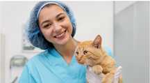 Enfermeiro veterinário ao domicílio para administrar medicação.