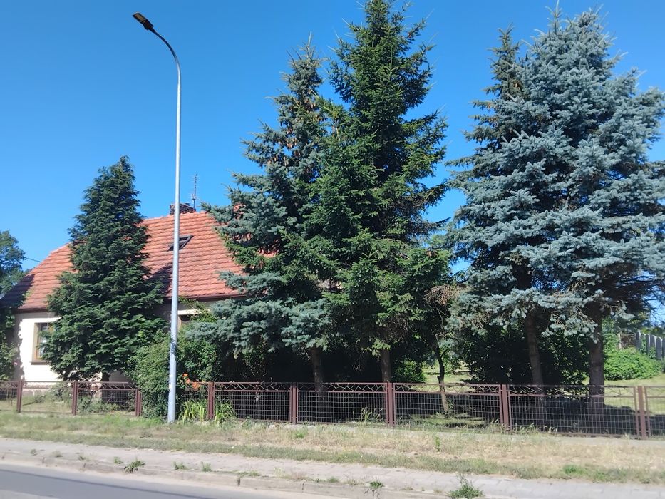 Sprzedam dom + budynek gospodarczy