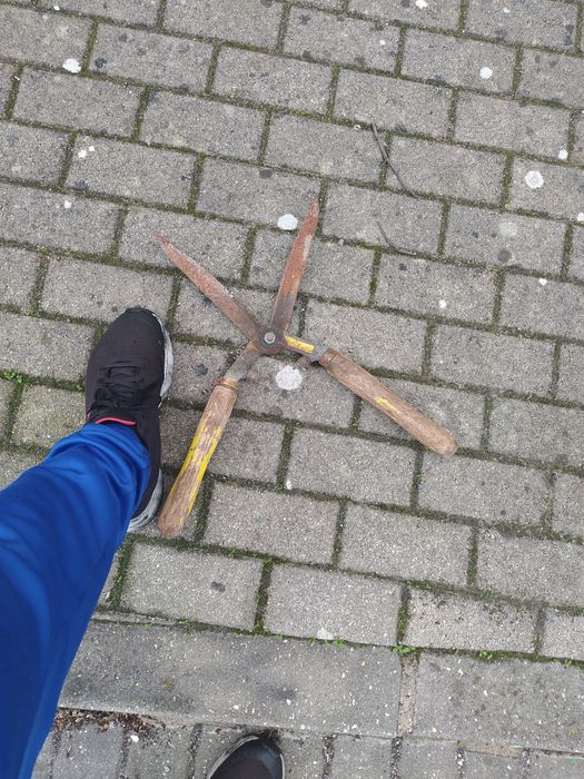 Tesoura Corta Sebes Grande