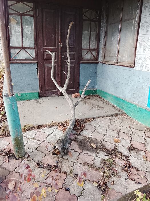 Продам будинок в Одеській області Любашовский райьоні село Іванівка