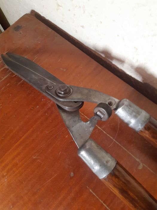 nożyce ogrodowe do żywopłotu