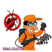 Skuteczne zwalczanie pluskiew, karaluchów, szczurów! Warszawa DDD
