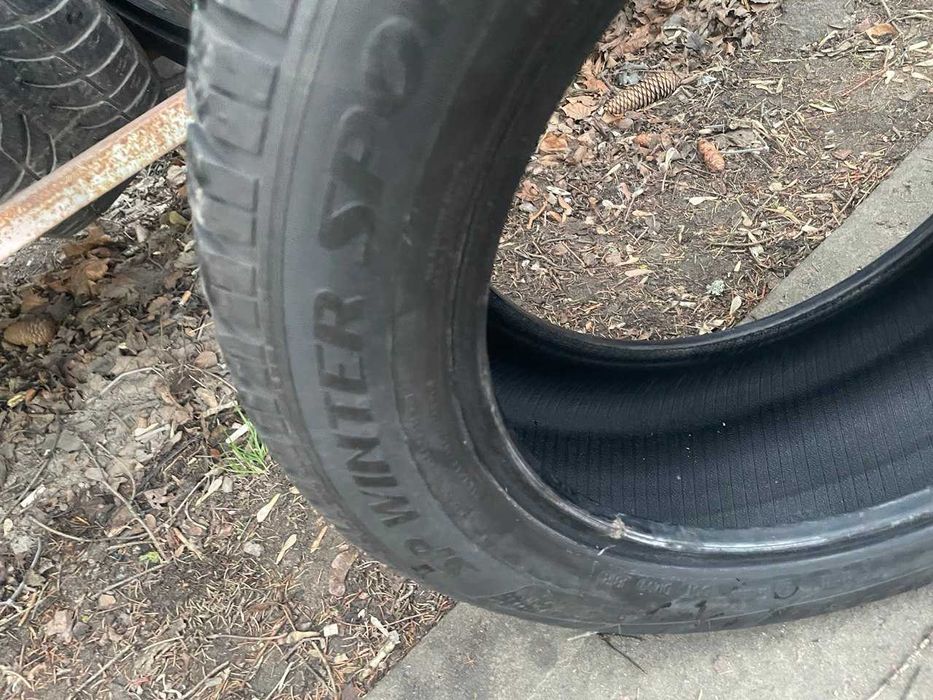 Шини 225/55r17 Dunlop комплект зима