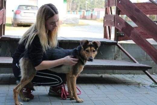 Bardzo miła, towarzyska, dwuletnia sunia do adopcji.