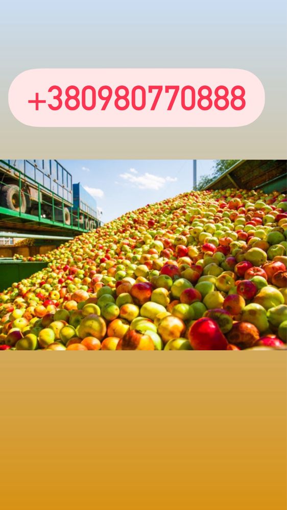 Прийом яблук самовивіз