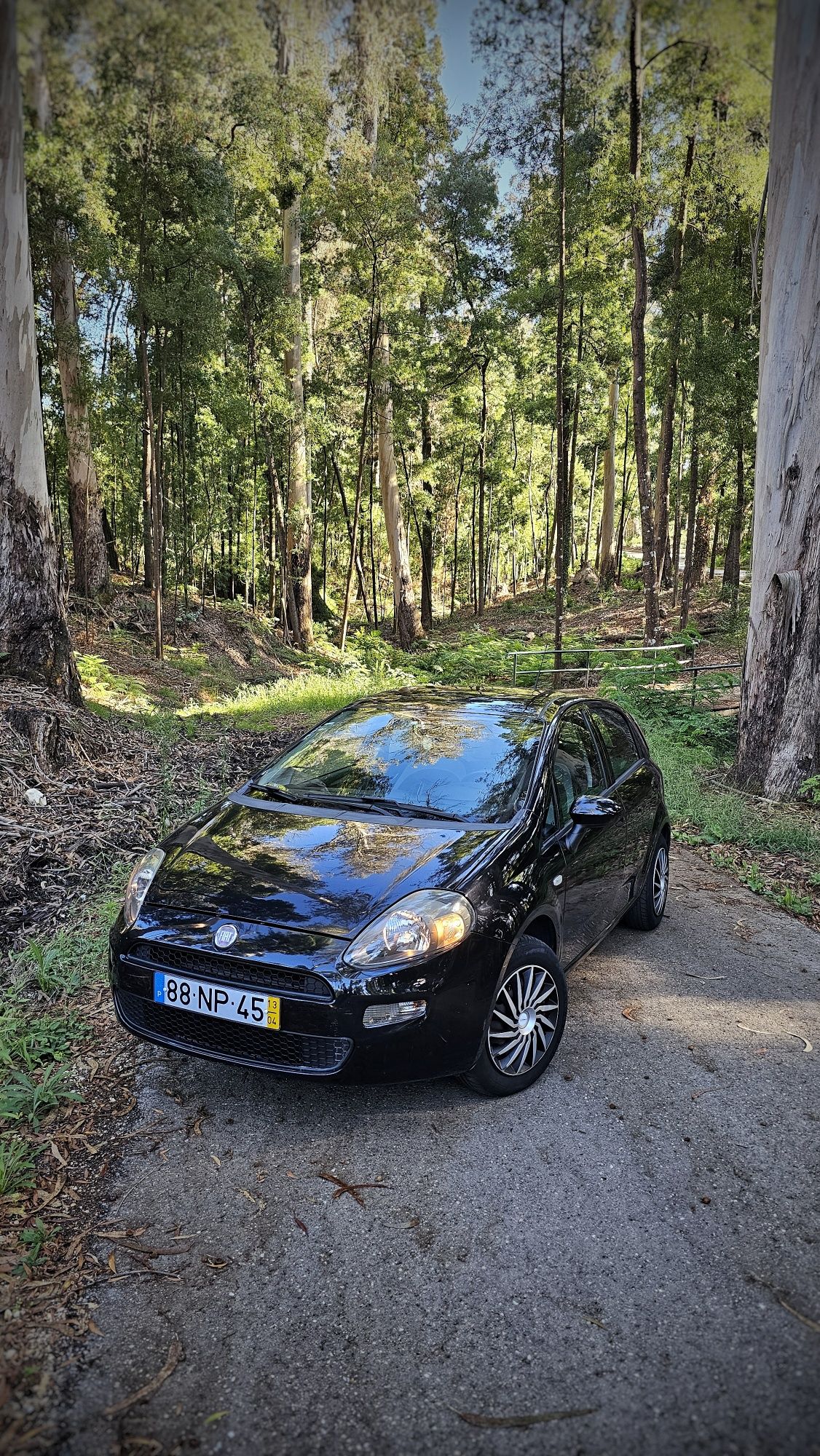 Fiat Punto EVO bi-fuel