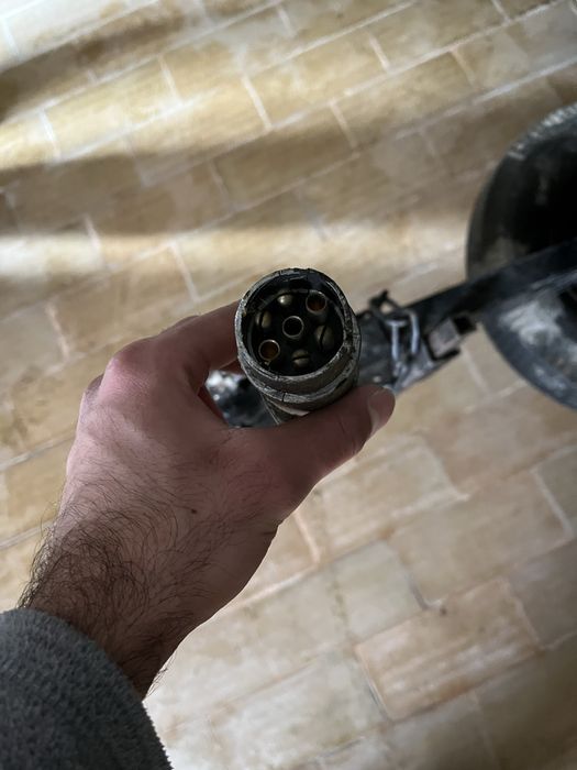 Reboque p/ transporte de cães