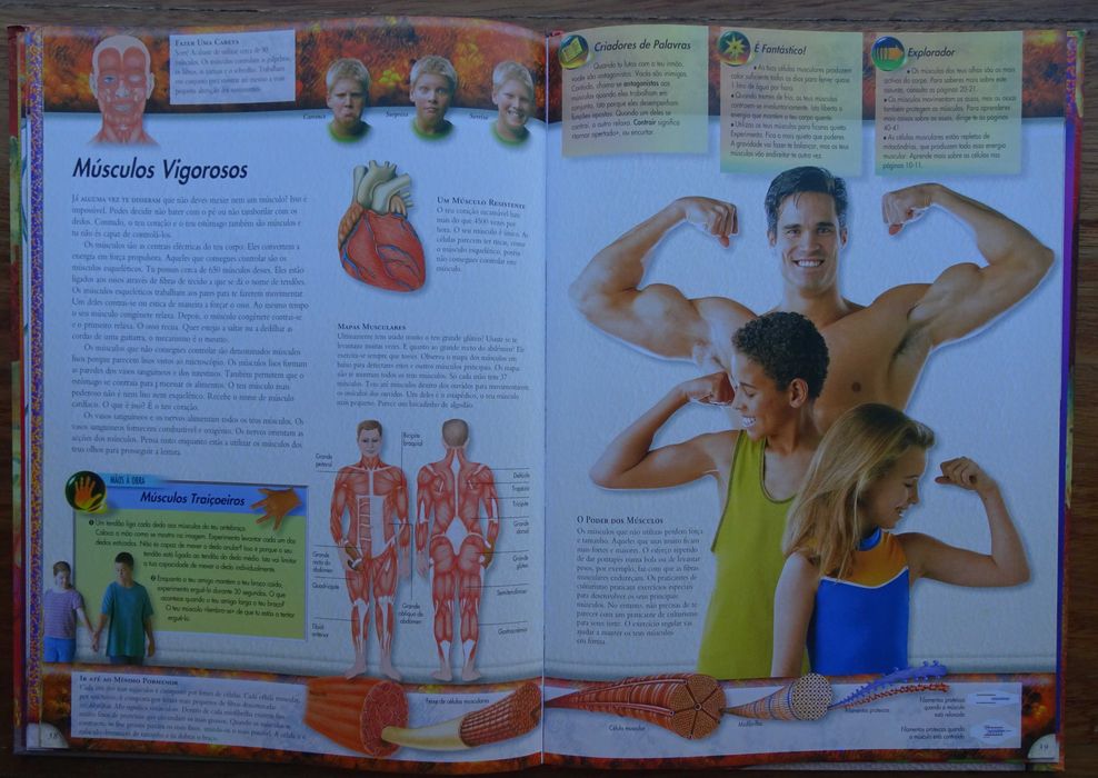 O Corpo Humano (Biblioteca do Jovem Explorador)