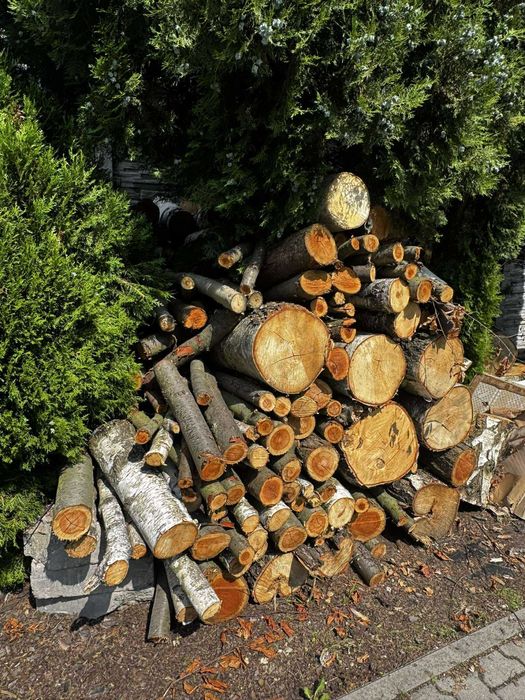Brzoza drewno opałowe liściaste
