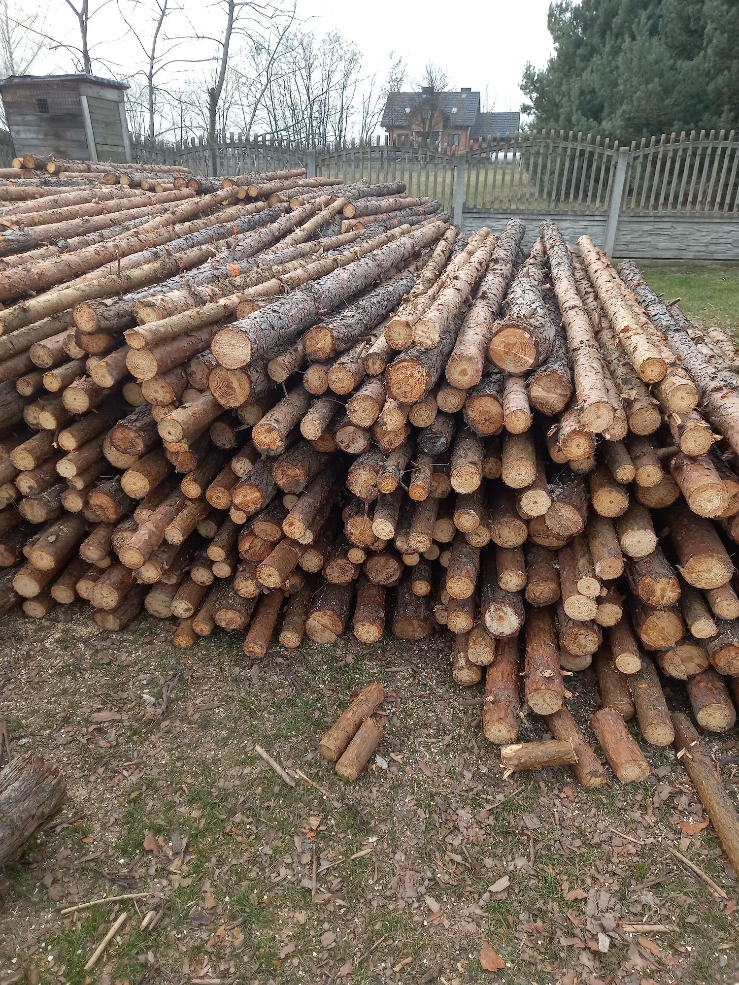 Kolki slupki ogrodzeniowe drewniane 2.5m