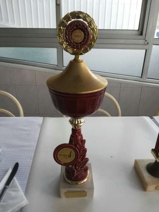 Taças de Columbófilia