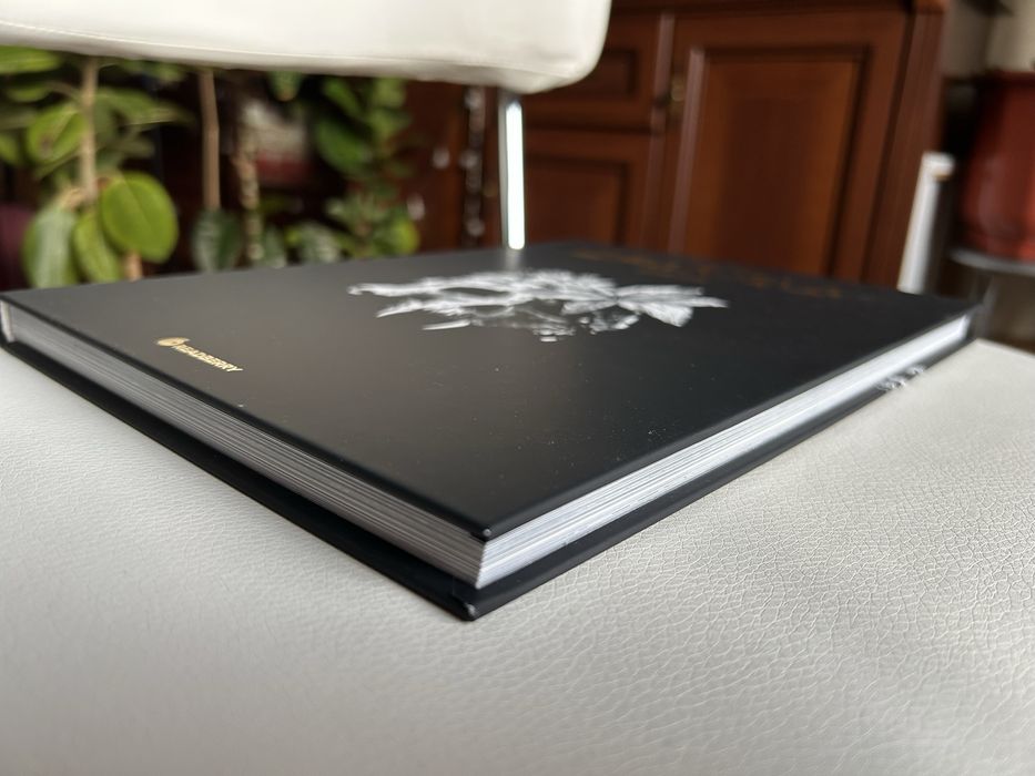 Дракула Жорж Бесс