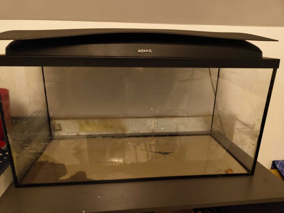 2 Akwaria. Grzaki filtry i dodatki