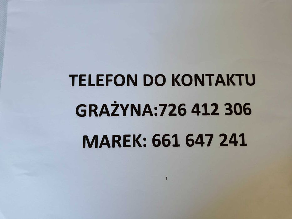 Warzywa od rolnika