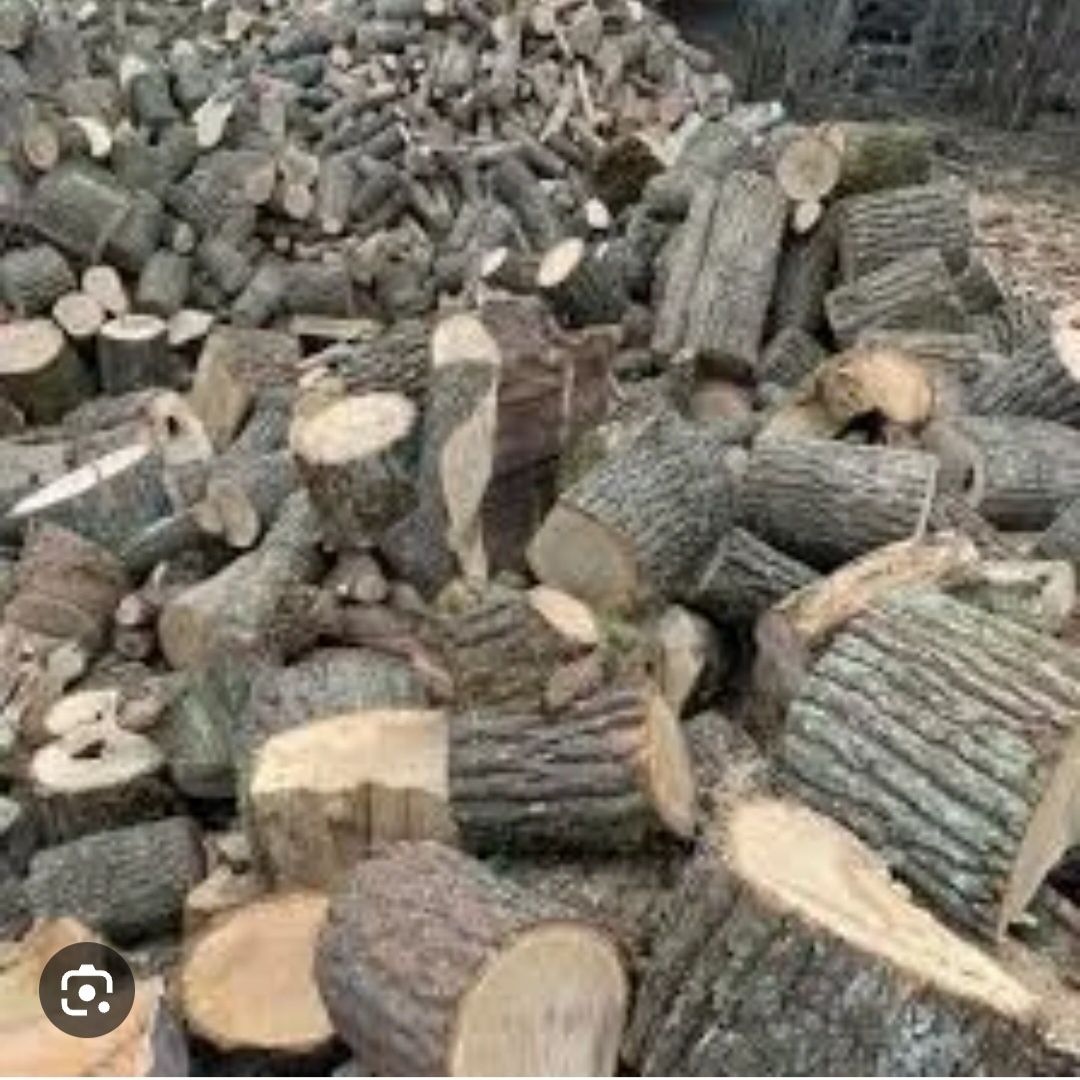 Продам дрова тополь з доставкою ціна 400 грн 1 складометр