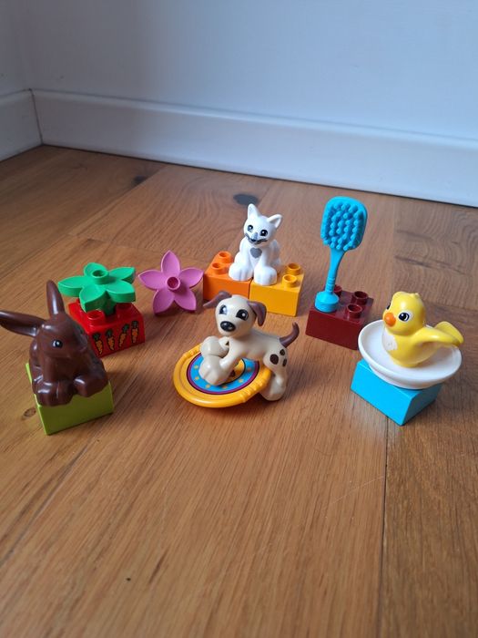 LEGO Duplo Zwierzątka domowe 10838 Zwierzęta domowe