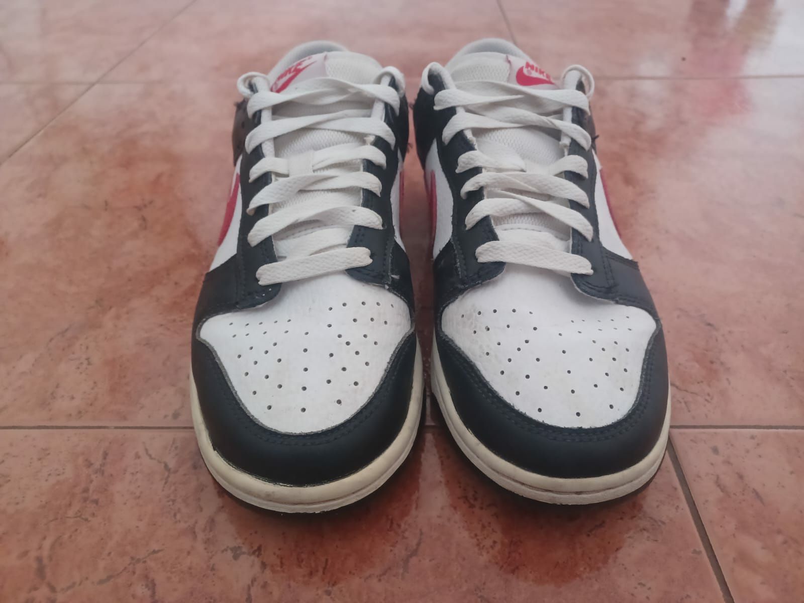 Sapatilhas Nike Dunk Low