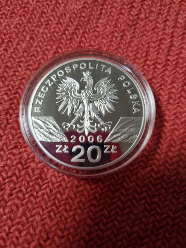 Srebrna moneta 20zł Świstak